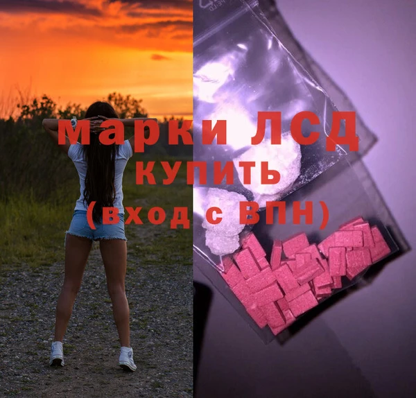 стаф Аркадак