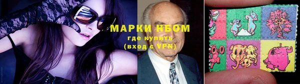 стаф Аркадак