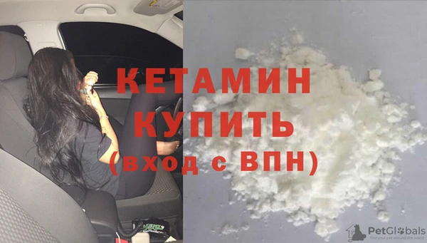 стаф Аркадак