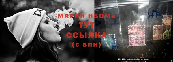 стаф Аркадак
