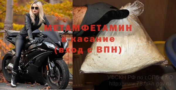 стаф Аркадак