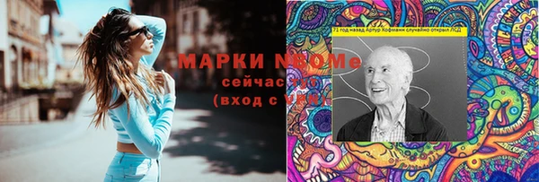 стаф Аркадак