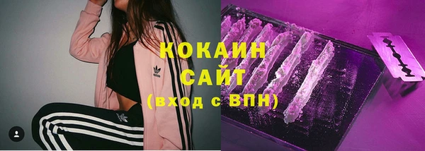 стаф Аркадак