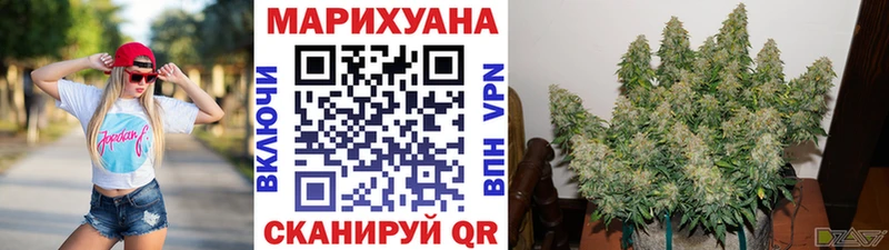 KRAKEN зеркало  Чадан  Марихуана White Widow  цены наркотик 
